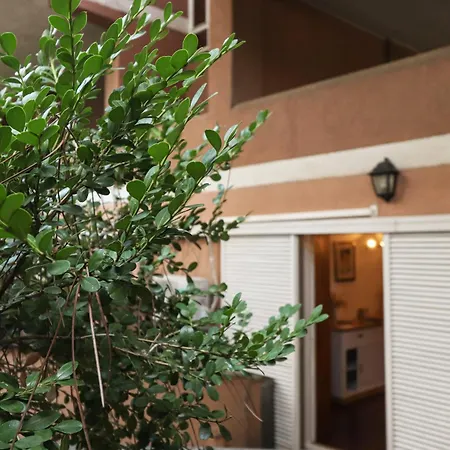 Casa Del Koala Al Gemelli Hospital * Rome